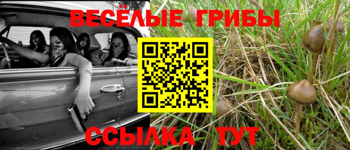 Псилоцибиновые грибы ЛСД Сегежа
