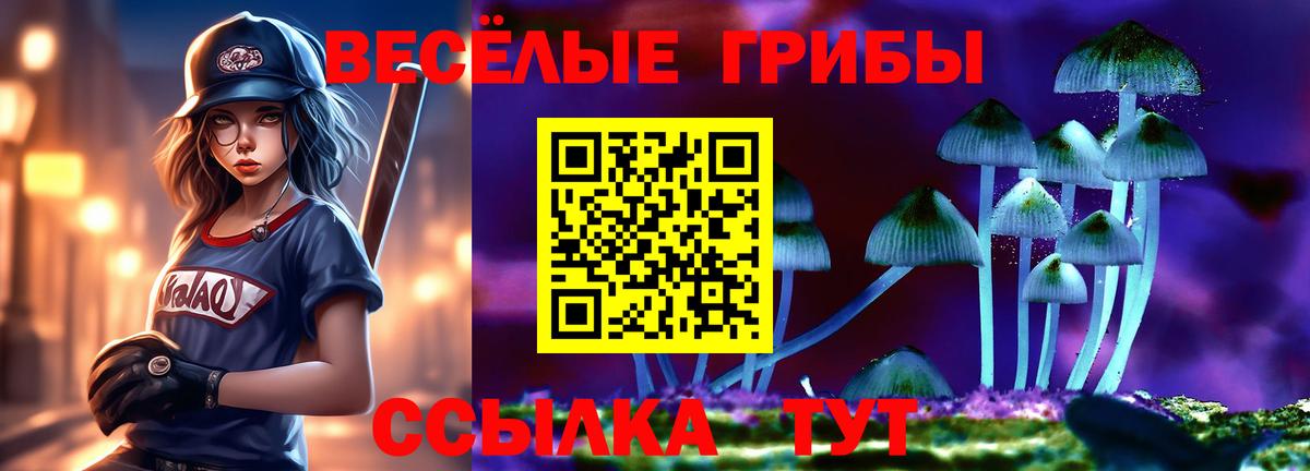 Псилоцибиновые грибы мицелий  Псилоцибиновые грибы Cubensis  Сегежа  Вход с VPN 